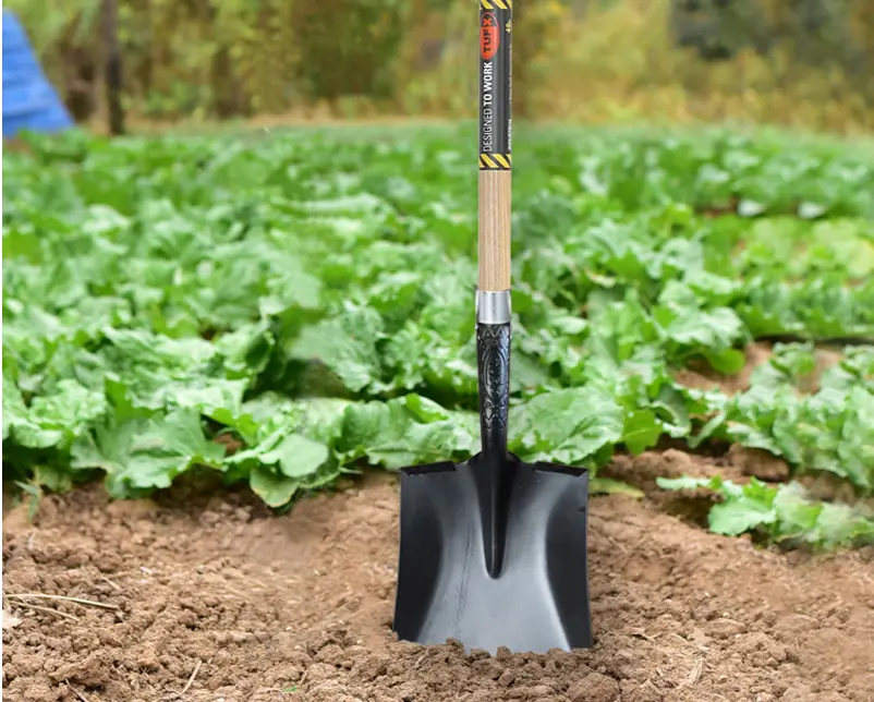 Knowledge About Garden Shovels